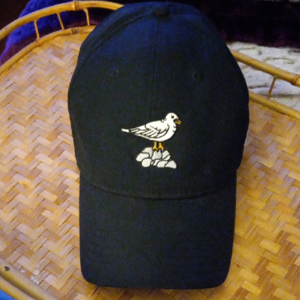 Under Armour Seagal Bird Embroidered Cap American Flag Hat OSFA